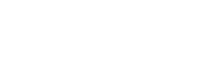 DS logo negative